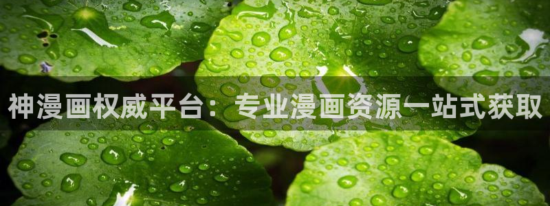 腐漫cc