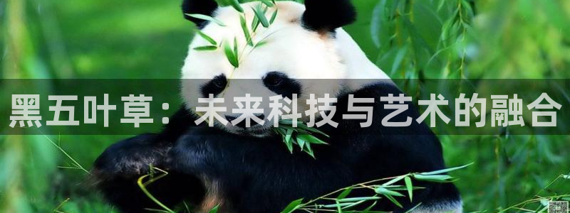 腐漫画 官网：黑五叶草：未来科技与艺术的融合