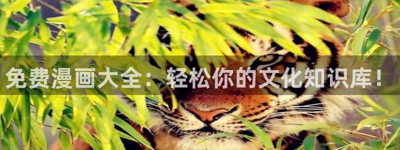 腐漫台：免费漫画大全：轻松你的文化知识库！