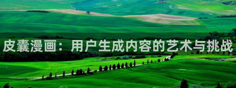 腐漫圈网站：皮囊漫画：用户生成内容的艺术与挑战