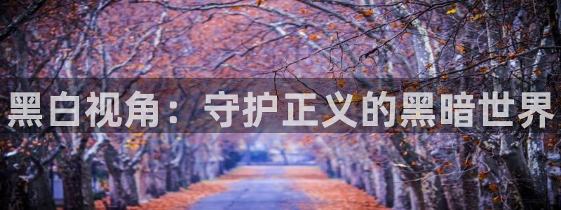 好看腐漫：黑白视角：守护正义的黑暗世界