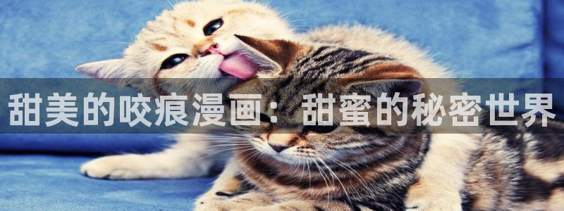 腐漫画两攻一受：甜美的咬痕漫画：甜蜜的秘密世界