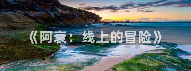 韩漫腐漫免费观看：《阿衰：线上的冒险》