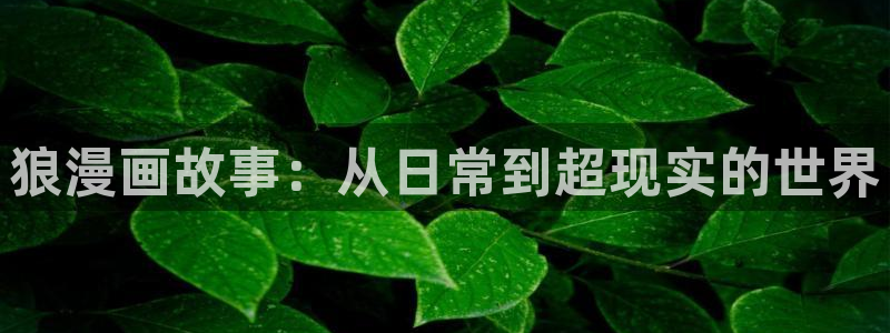 腐漫画 下载：狼漫画故事：从日常到超现实的世界