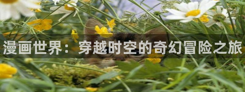 腐漫圈网站：漫画世界：穿越时空的奇幻冒险之旅