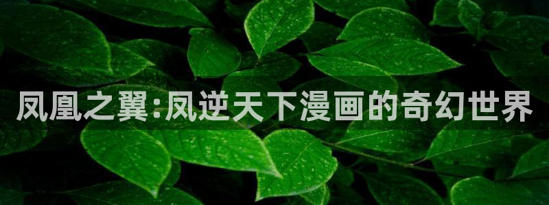 腐漫韩漫推荐