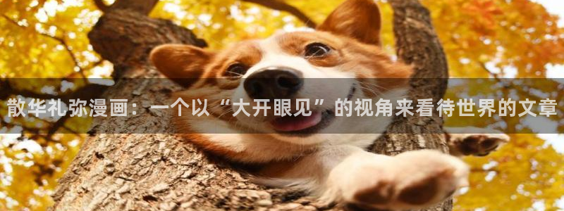动漫腐漫
