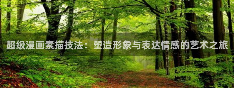 腐漫画r18：超级漫画素描技法：塑造形象与表达情感的艺术之旅