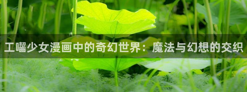 腐漫画 巨人族的新娘