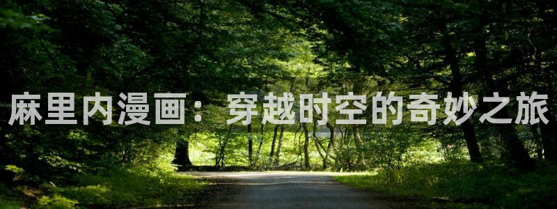 好看的腐漫画