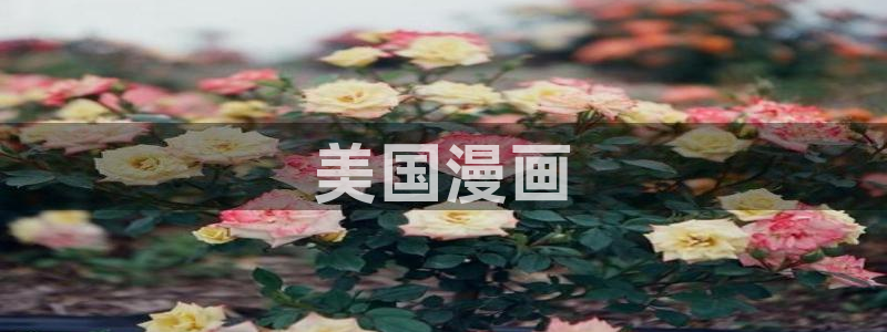 百合腐漫画