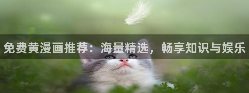 腐漫画网肉