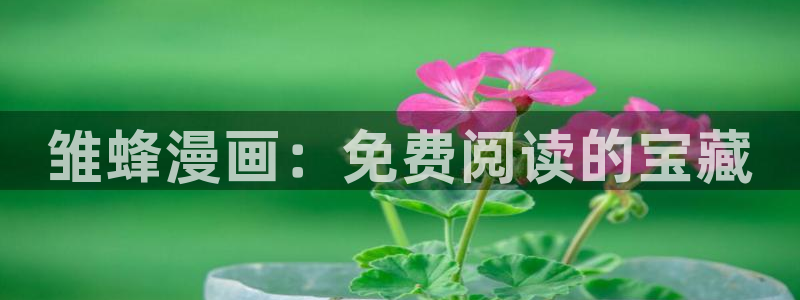 腐漫圈