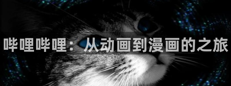 腐漫画长图：哔哩哔哩：从动画到漫画的之旅